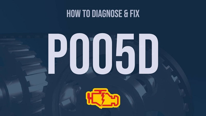 P005D