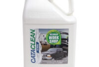 Catalytic Converter Cleaner Autozone