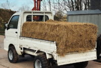 Kei Truck for Sale UK