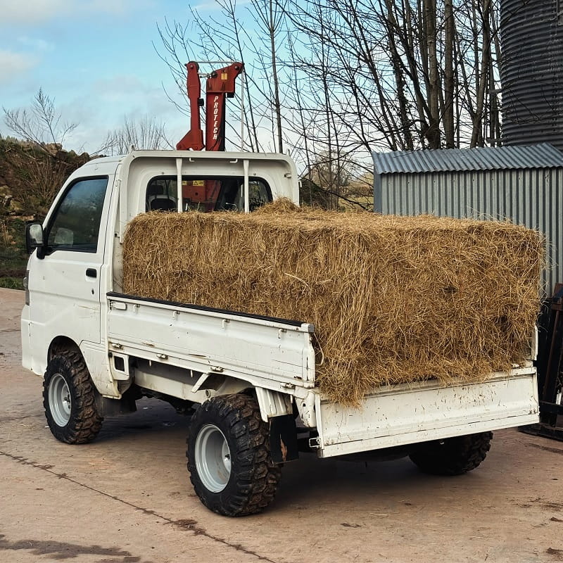 Kei Truck for Sale UK